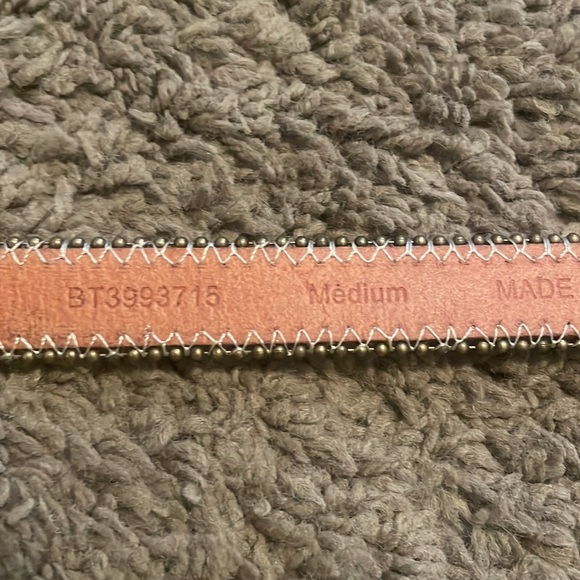 Fossil Gold Medium Belt - Picture 8 of 10